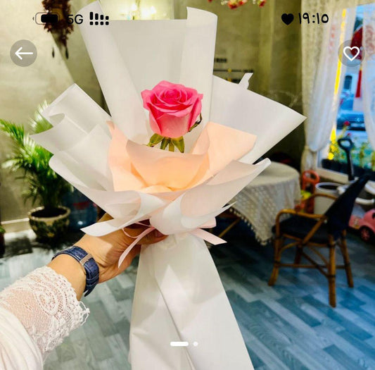 Solo Bloom